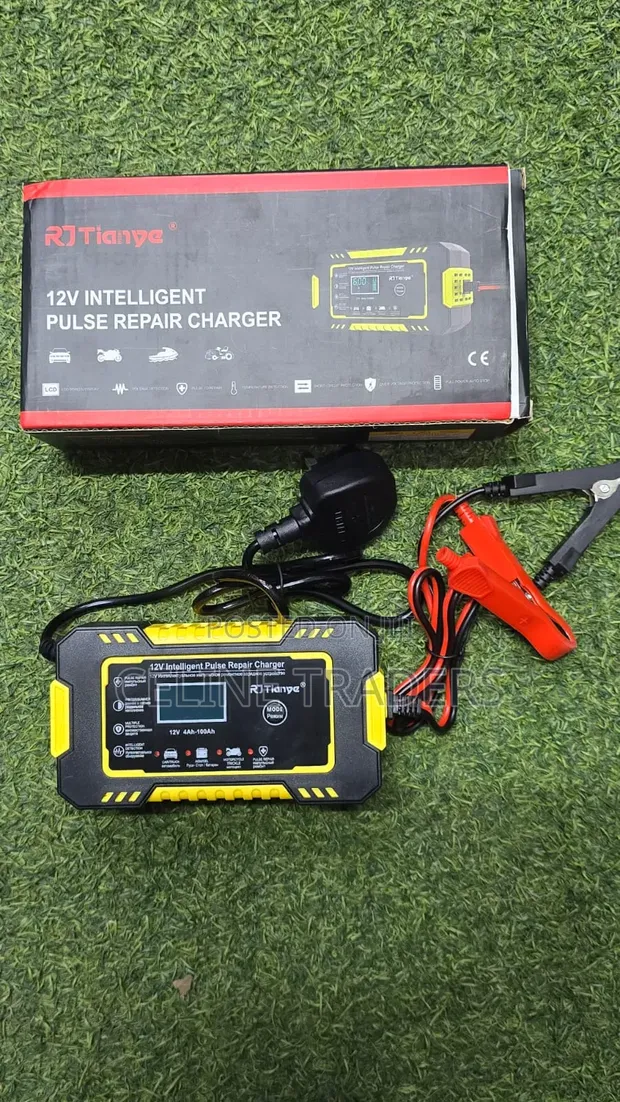 12V Battery Charger - Intense Pulse - 1