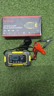 12V Battery Charger - Intense Pulse - 2