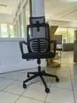 High-Back Mesh Executive Office Chair with Lumbar Support - 2