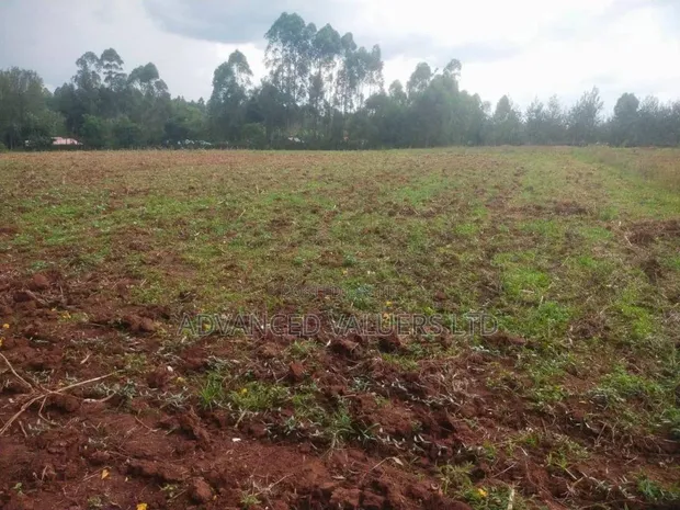 Eneo la Ekari 5.3 kwa Uuzaji Kitale - Kiminini - 1