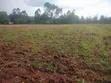 Eneo la Ekari 5.3 kwa Uuzaji Kitale - Kiminini - 1