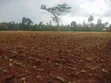 Eneo la Ekari 5.3 kwa Uuzaji Kitale - Kiminini - 2