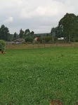 Vipande Bora vya 1/8 Eka kwa Uuzaji - Green Crest, Nyahururu - 1