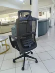 Premium Mesh Executive Office Chair with Lumbar Support - 2