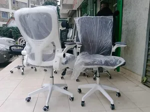 Modern Ergonomic Office Chair - White Frame / Grey Mesh