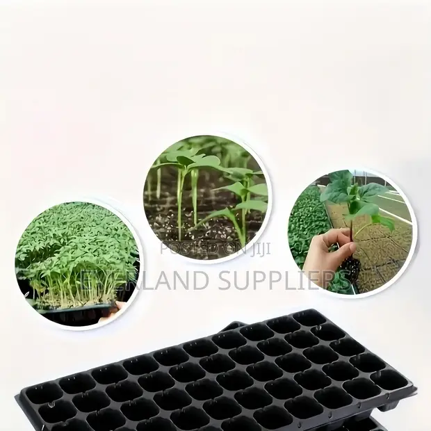 Trei za Miti ya Greenhouse - Jumla - 1