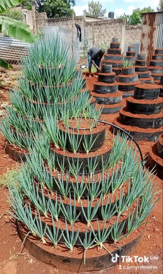 Vertical Garden System (80 Seedlings) - 1