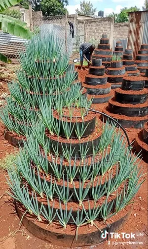 Vertical Garden System (80 Seedlings)