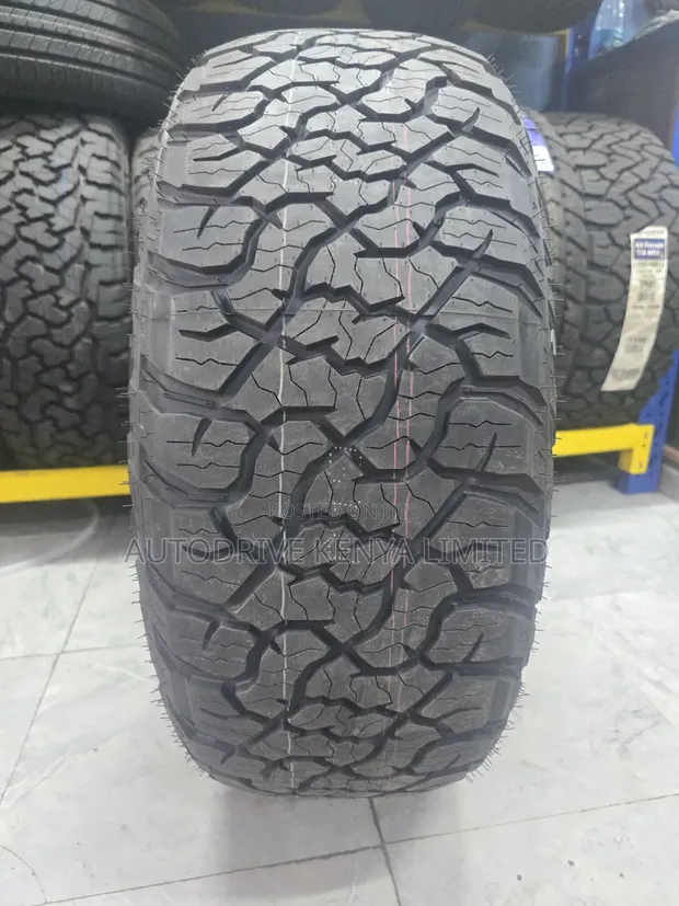 265/55R19 Grenlander Steadtrek All Terrain (A/T) Tire - 1