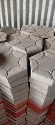 Hexagonal Modernized Cabro Paving Blocks - 2