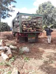 Mkaa wa Kuuzwa - Bluegum, Cedar, Podo - 2