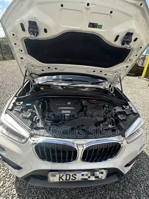 BMW X1 2017 Nyeupe