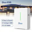 Deye 51.2V 200Ah Betri ya Lithium - 1