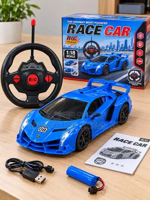 Remote Controlled Rechargeable Race Cars