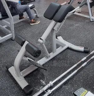 Brand New Roman Chair / Back Machine