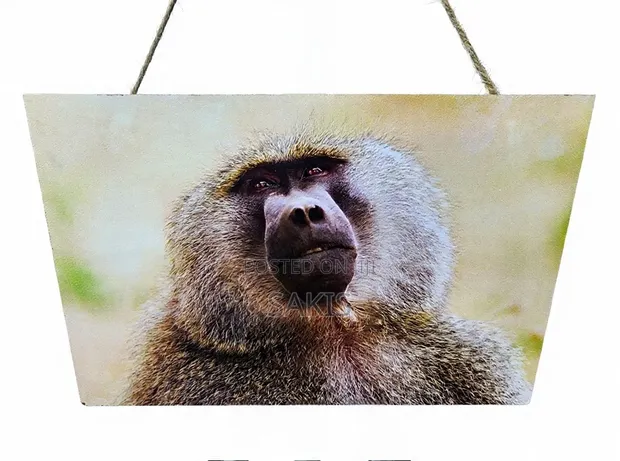 Baboon Wildlife Wooden Wall Hanging Art/Plaque - 1