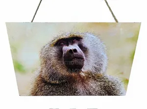 Baboon Wildlife Wooden Wall Hanging Art/Plaque