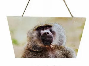 Baboon Wildlife Wooden Wall Hanging Art/Plaque