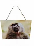 Baboon Wildlife Wooden Wall Hanging Art/Plaque - 4
