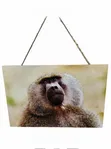 Baboon Wildlife Wooden Wall Hanging Art/Plaque - 5