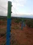 0.112 Acre Plot for Sale in Nanyuki (Daiga-Muramati) - 3