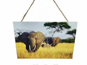 African Elephant Wooden Hanging Wall Art - 20x30