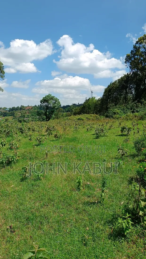 Viwanja vya Makazi Ngong Vinauzwa - 1