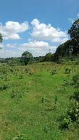 Viwanja vya Makazi Ngong Vinauzwa - 1