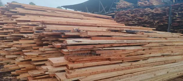 Grained Elm Hardwood - 1