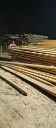 Grained Elm Hardwood - 2