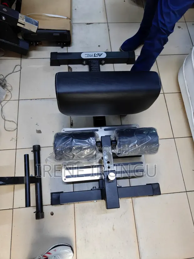 Commercial Sissy Squat Machine - Brand New - 1