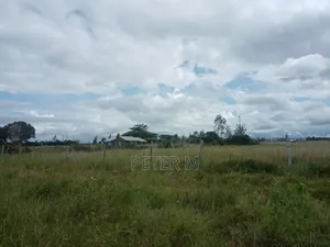 Prime 50x100 Plots for Sale - Kisaju