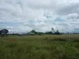 Prime 50x100 Plots for Sale - Kisaju - 1