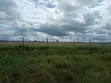 Prime 50x100 Plots for Sale - Kisaju - 2