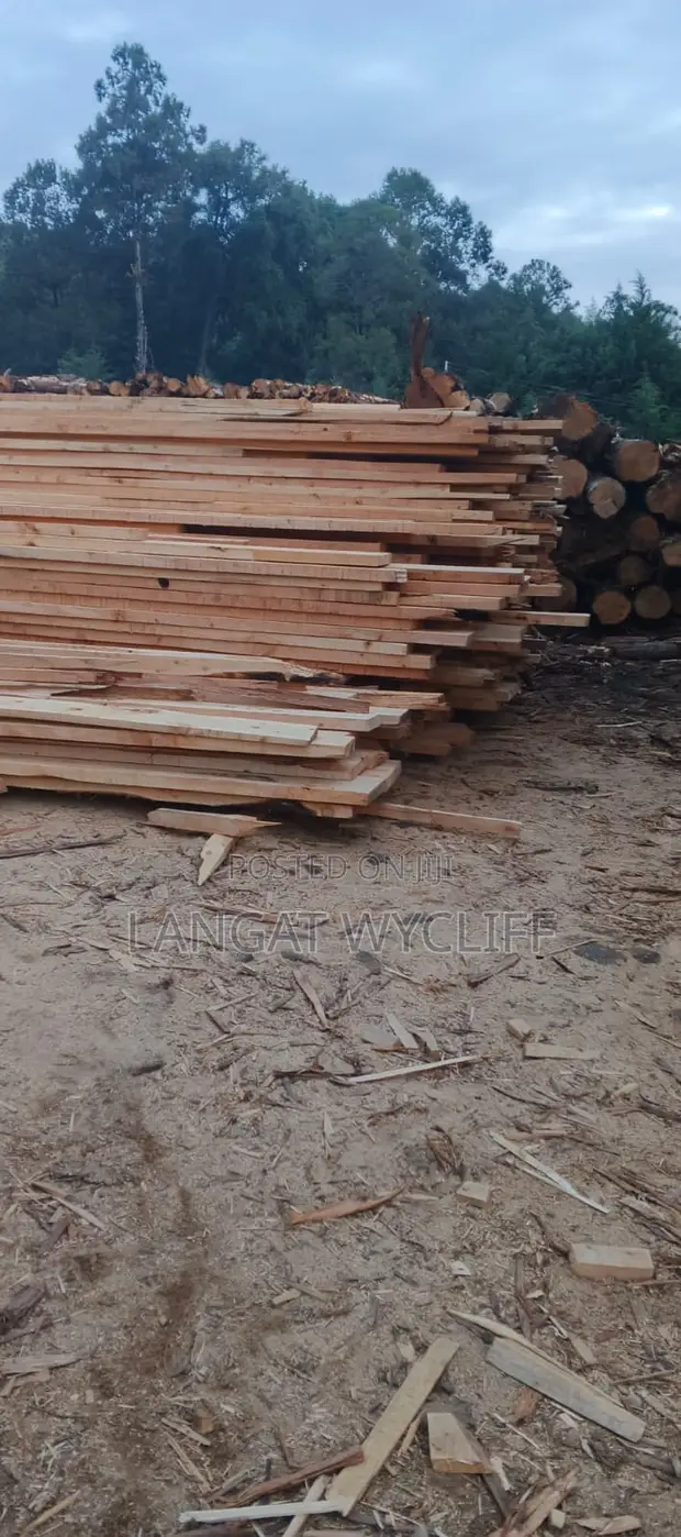 Custom Oak Wood Collection - 1