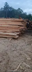 Custom Oak Wood Collection - 1