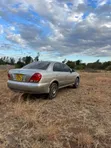 Nissan Bluebird 2005 Gray - 2