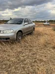 Nissan Bluebird 2005 Gray - 5