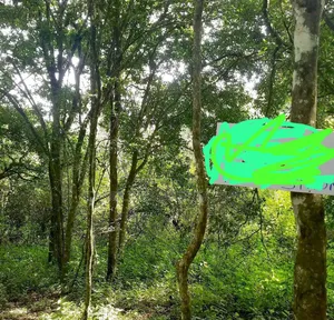 Karen Mukoma Road 5 Acres Land for Sale