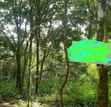 Karen Mukoma Road 5 Acres Land for Sale - 1