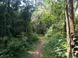 Karen Mukoma Road 5 Acres Land for Sale - 2