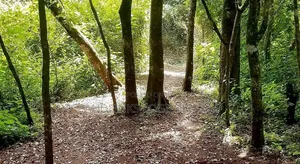 Joint Venture Land for Sale in Westlands