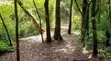 Joint Venture Land for Sale in Westlands - 1