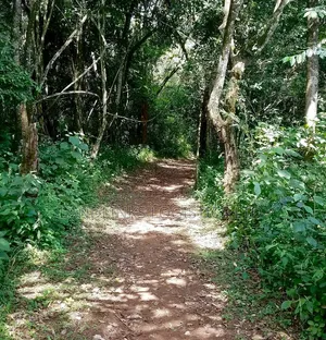 Ardhi kwa Ajili ya Uwekezaji wa Pamoja (JV) Westlands