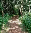 Joint Venture Land for Sale in Westlands - 2