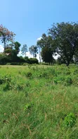 Ngong Residential Plots for Sale - 2