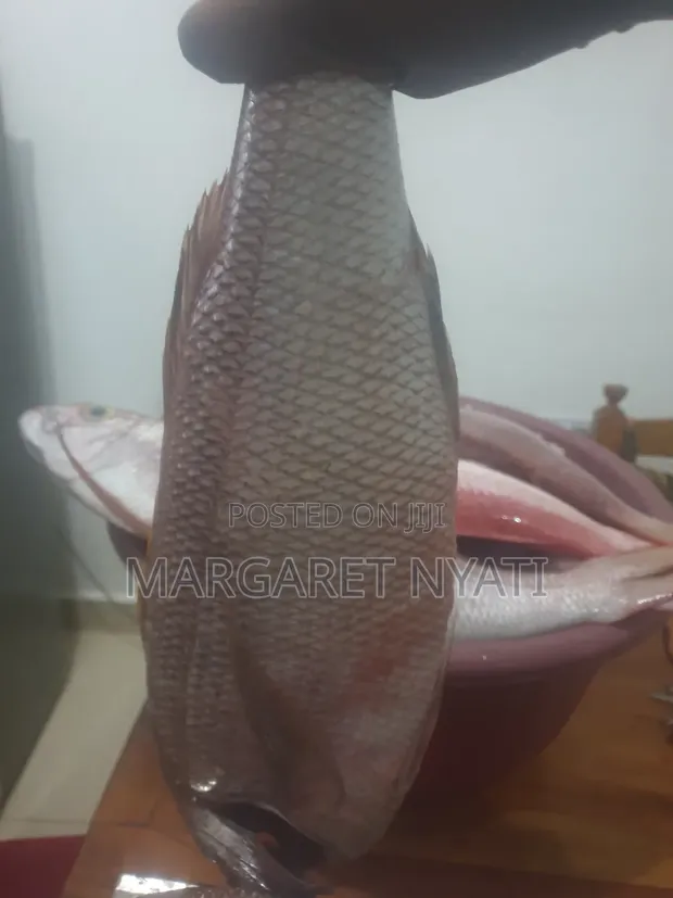 Fresh Fish Delivery - 1