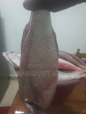 Fresh Fish Delivery
