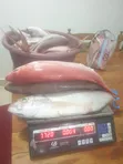 Fresh Fish Delivery - 2
