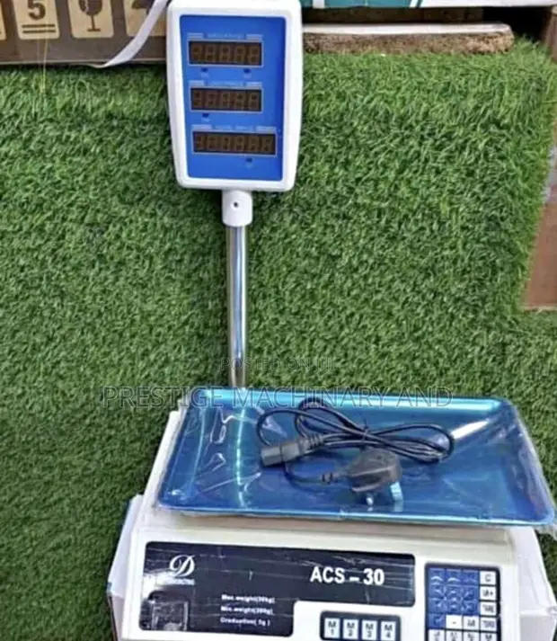 ACS-30 Digital Weighing Scale - 1